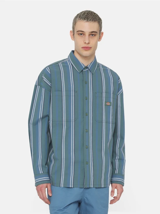 Рубашки Dickies Glade Spring Ls модель DK0A4YS2H681 Фото