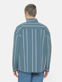 Рубашки Dickies Glade Spring Ls модель DK0A4YS2H681 Фото