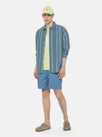Рубашки Dickies Glade Spring Ls модель DK0A4YS2H681 Фото