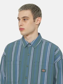 Рубашки Dickies Glade Spring Ls модель DK0A4YS2H681 Фото