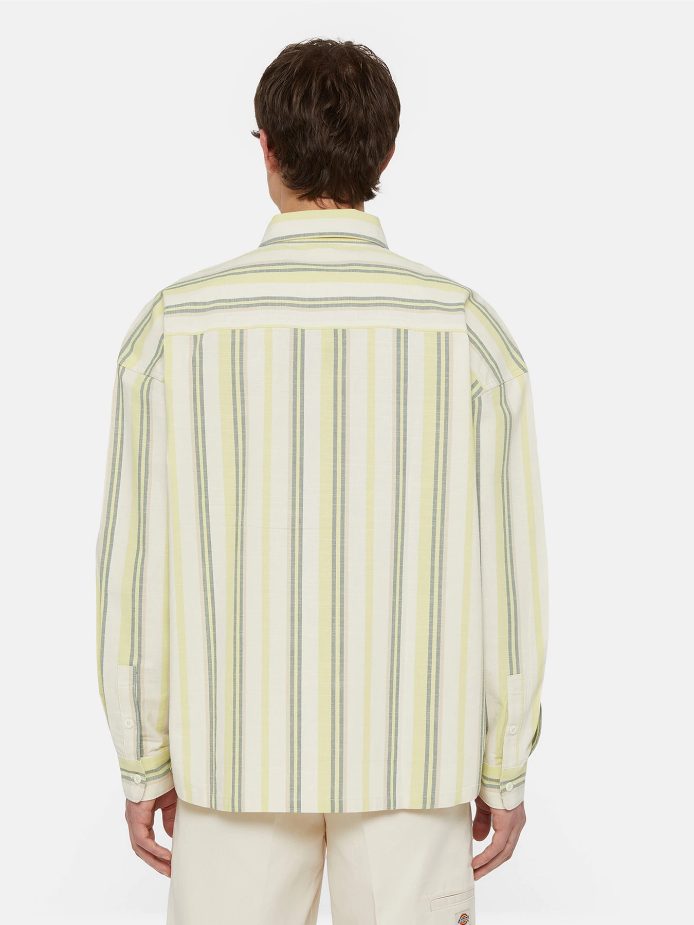 Сорочки Dickies Glade Spring Ls модель DK0A4YS2J481 Фото