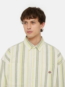 Сорочки Dickies Glade Spring Ls модель DK0A4YS2J481 Фото