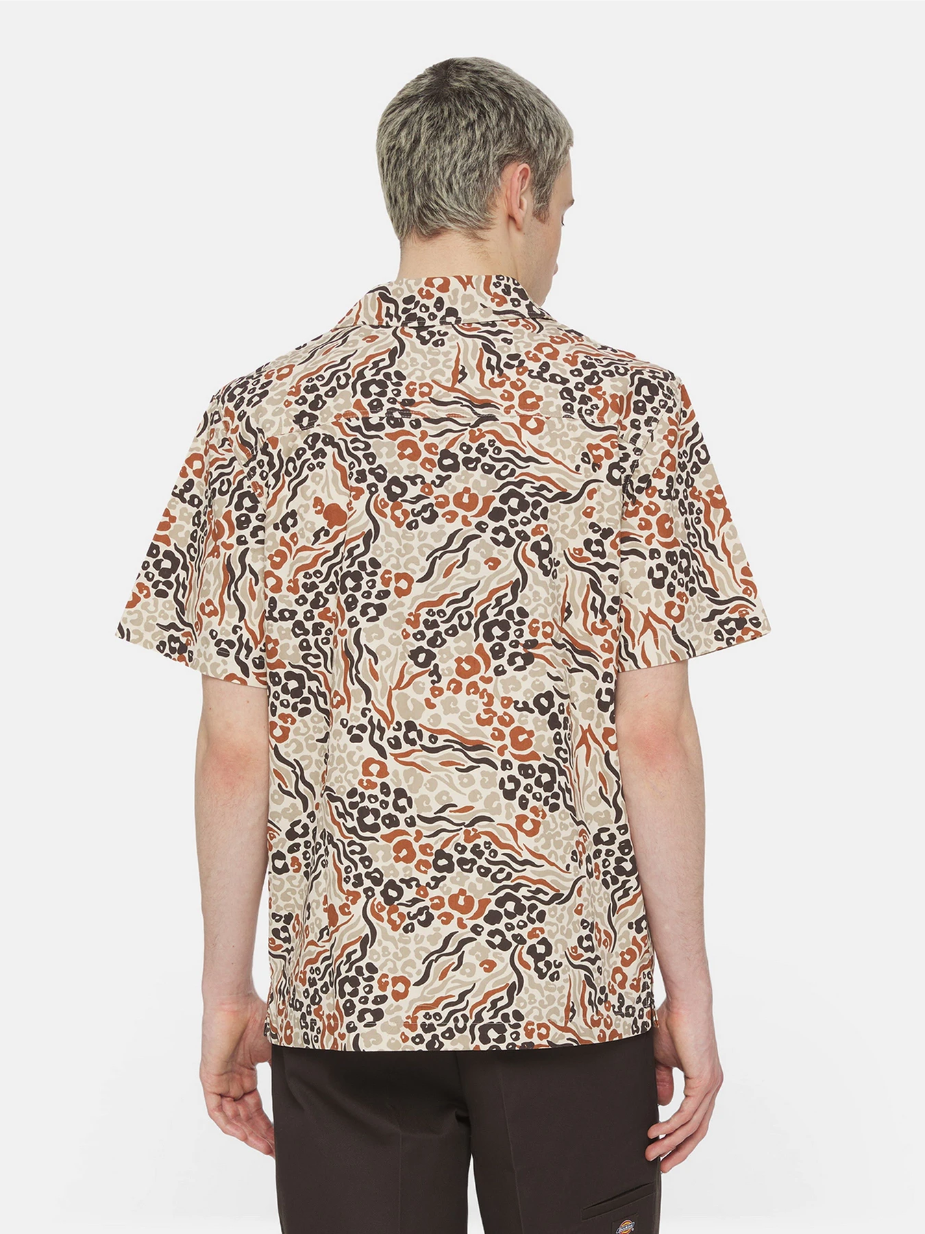 Рубашки Dickies Sleeve Saltville модель DK0A4YS3H971 Рубашки Dickies Sleeve Saltville модель DK0A4YS3H971 Фото