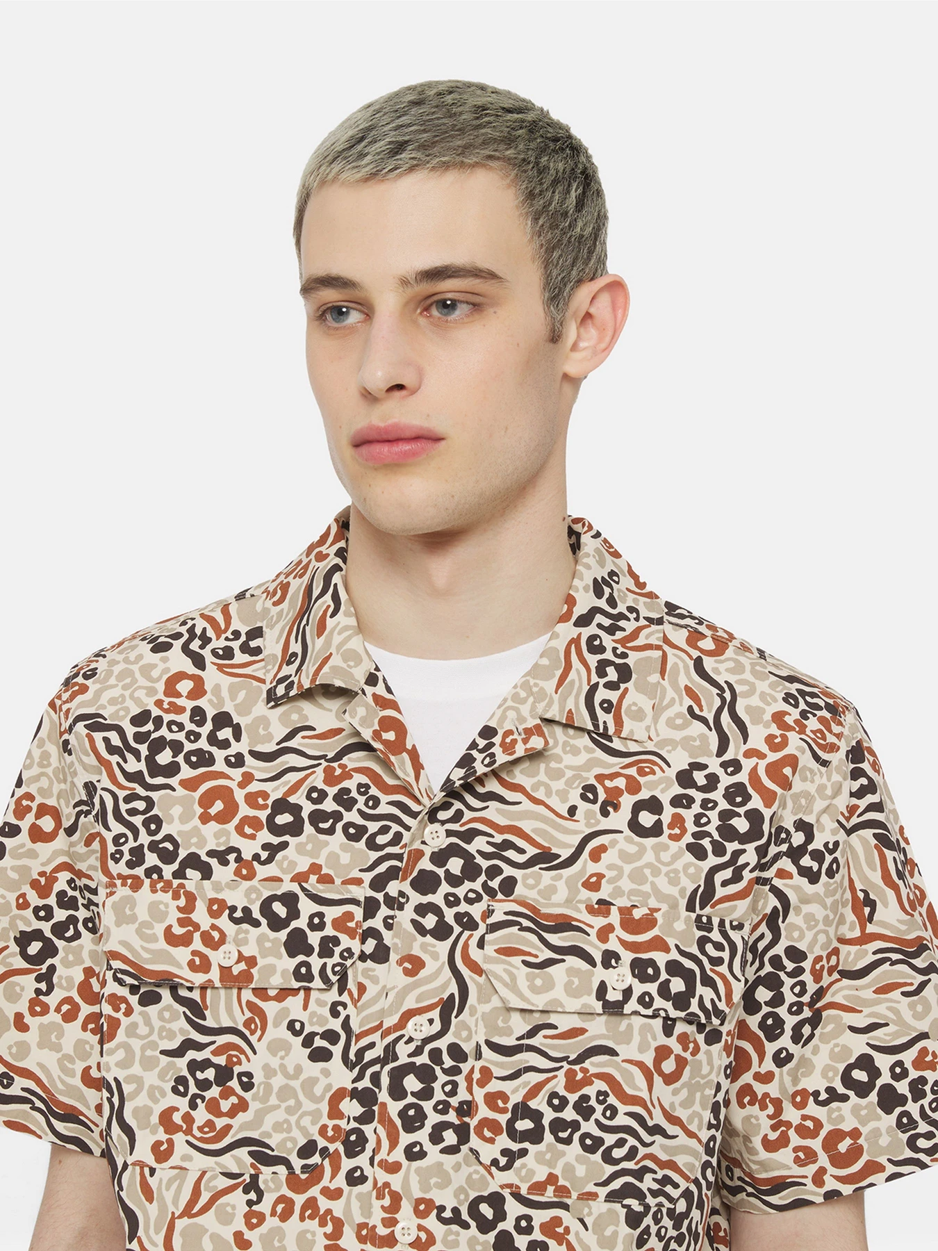Рубашки Dickies Sleeve Saltville модель DK0A4YS3H971 Рубашки Dickies Sleeve Saltville модель DK0A4YS3H971 Фото