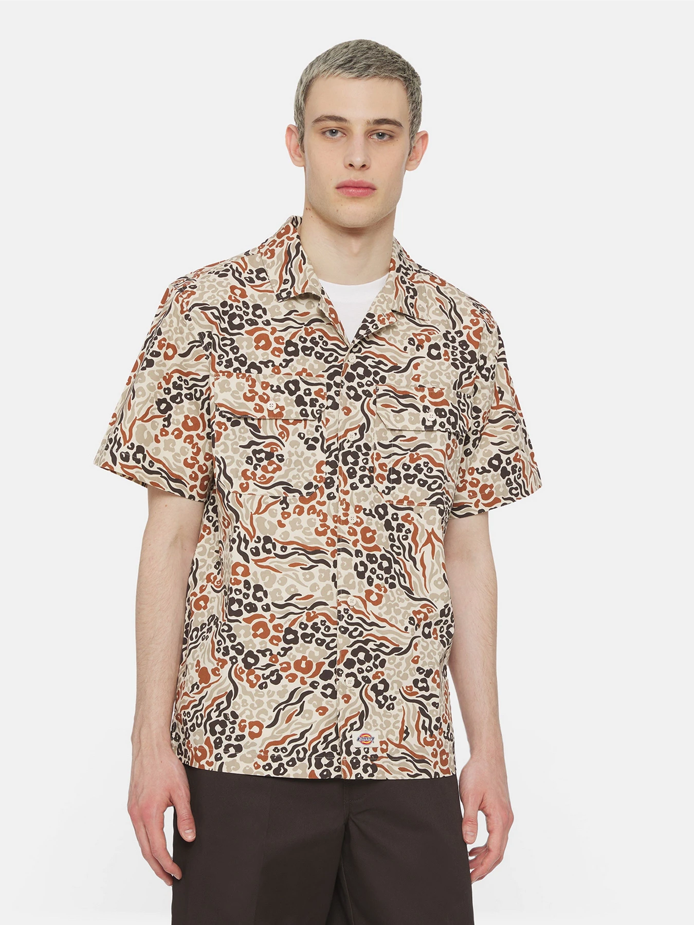 Рубашки Dickies Sleeve Saltville модель DK0A4YS3H971 Рубашки Dickies Sleeve Saltville модель DK0A4YS3H971 Фото