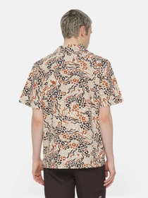 Рубашки Dickies Sleeve Saltville модель DK0A4YS3H971 Фото