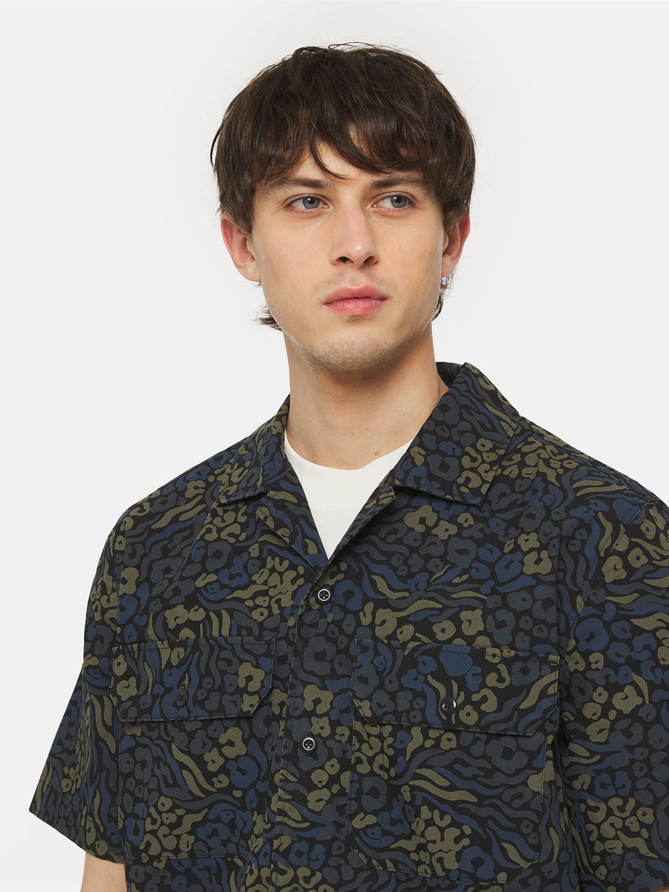 Рубашки Dickies Sleeve Saltville модель DK0A4YS3J461 Фото