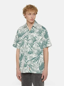 Рубашки Dickies Max Meados Ss модель DK0A4YS4J451 Фото