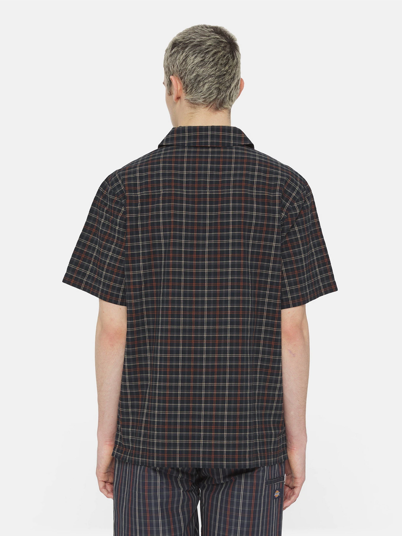 Сорочки Dickies Surry Ss модель DK0A4YS5H761 Сорочки Dickies Surry Ss модель DK0A4YS5H761 Фото