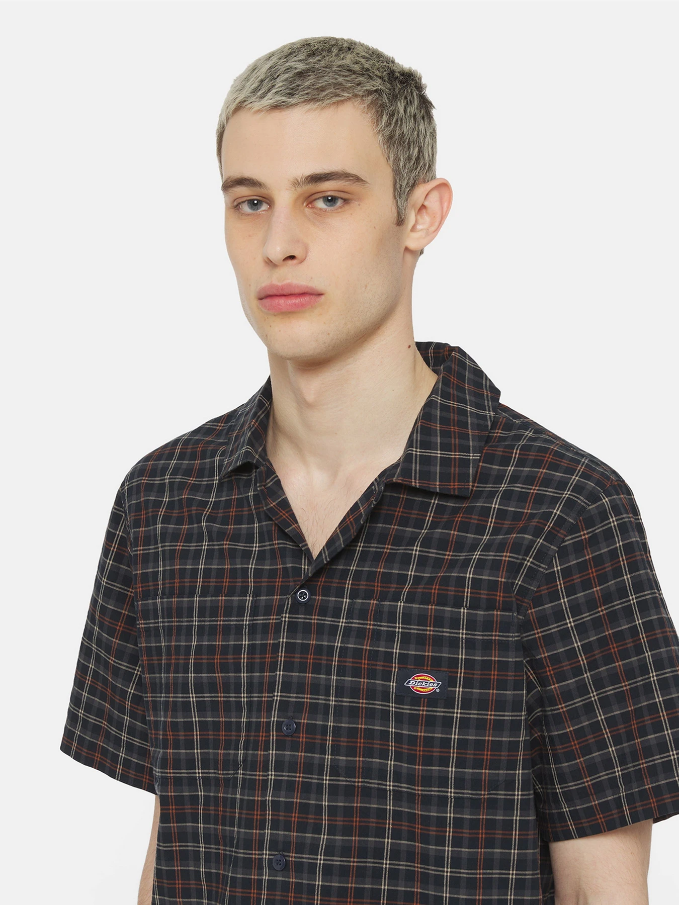 Сорочки Dickies Surry Ss модель DK0A4YS5H761 Сорочки Dickies Surry Ss модель DK0A4YS5H761 Фото