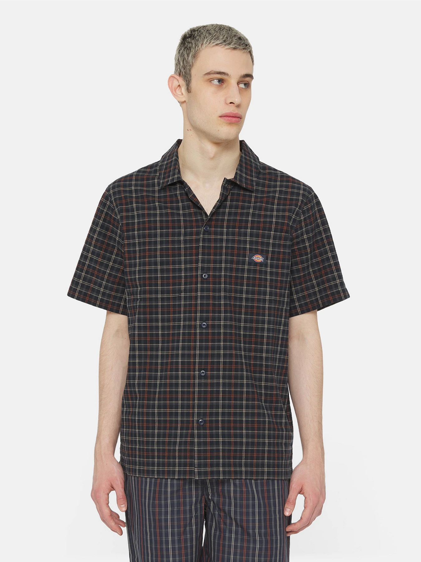 Сорочки Dickies Surry Ss модель DK0A4YS5H761 Сорочки Dickies Surry Ss модель DK0A4YS5H761 Фото