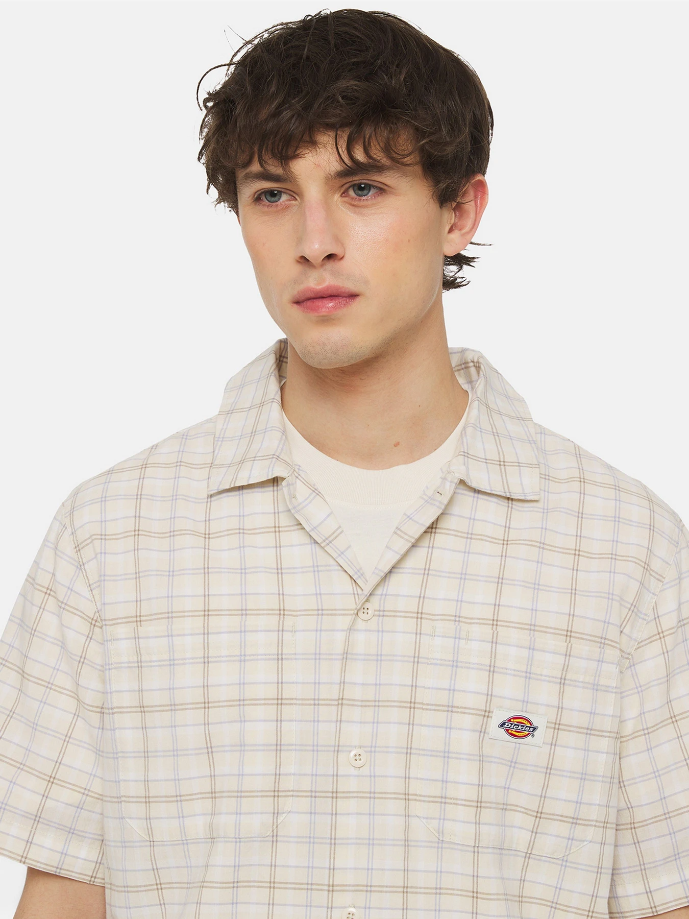 Сорочки Dickies Surry Ss модель DK0A4YS5H771 Фото