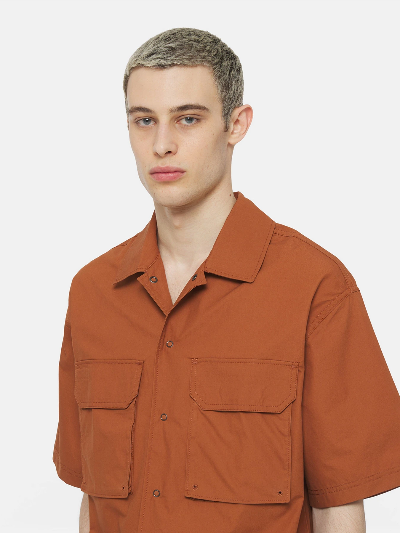 Сорочки Dickies Fishersville модель DK0A4YS6H161 Сорочки Dickies Fishersville модель DK0A4YS6H161 Фото