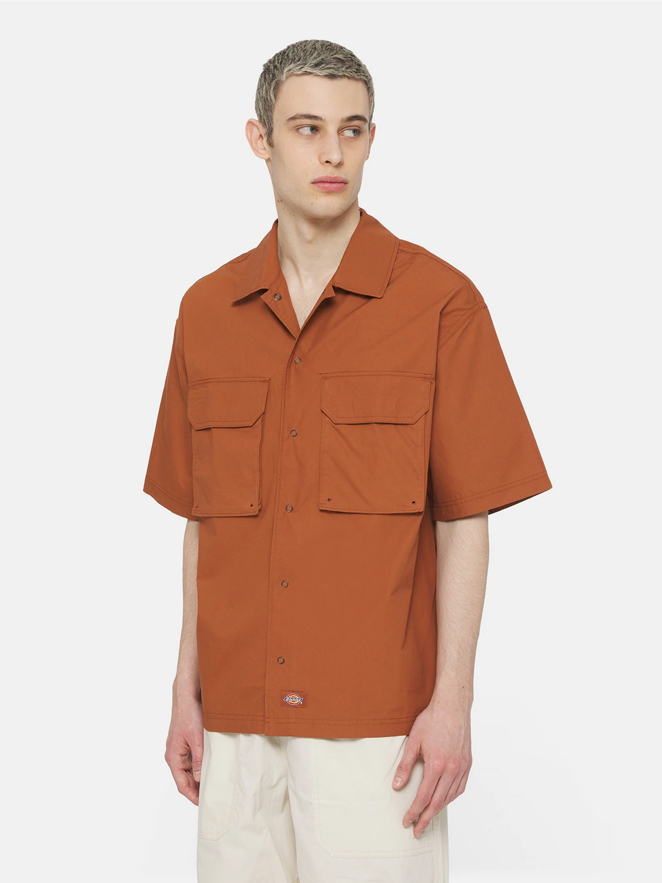 Сорочки Dickies Fishersville модель DK0A4YS6H161 Сорочки Dickies Fishersville модель DK0A4YS6H161 Фото