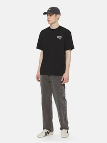 Брюки Dickies Neington модель DK0A4YSBH861 Фото