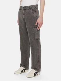 Брюки Dickies Neington модель DK0A4YSBH861 Фото