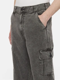 Брюки Dickies Neington модель DK0A4YSBH861 Фото