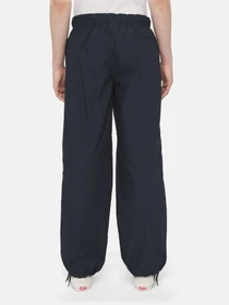Брюки Dickies Fishersville модель DK0A4YSDDNX1 Фото
