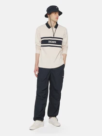 Брюки Dickies Fishersville модель DK0A4YSDDNX1 Фото