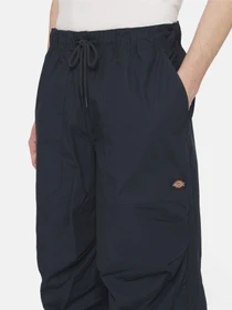 Брюки Dickies Fishersville модель DK0A4YSDDNX1 Фото