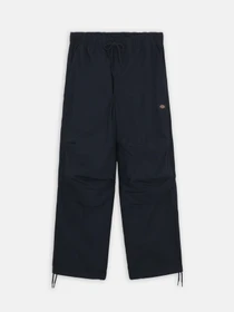 Брюки Dickies Fishersville модель DK0A4YSDDNX1 Фото