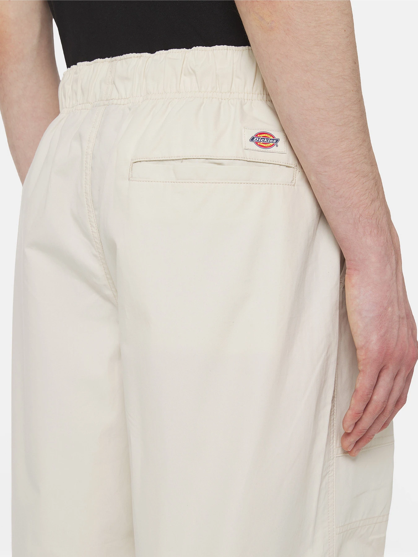 Брюки Dickies Fishersville модель DK0A4YSDF901 Фото
