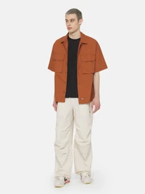 Брюки Dickies Fishersville модель DK0A4YSDF901 Фото
