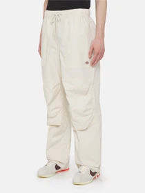 Брюки Dickies Fishersville модель DK0A4YSDF901 Фото