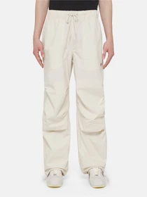 Брюки Dickies Fishersville модель DK0A4YSDF901 Фото