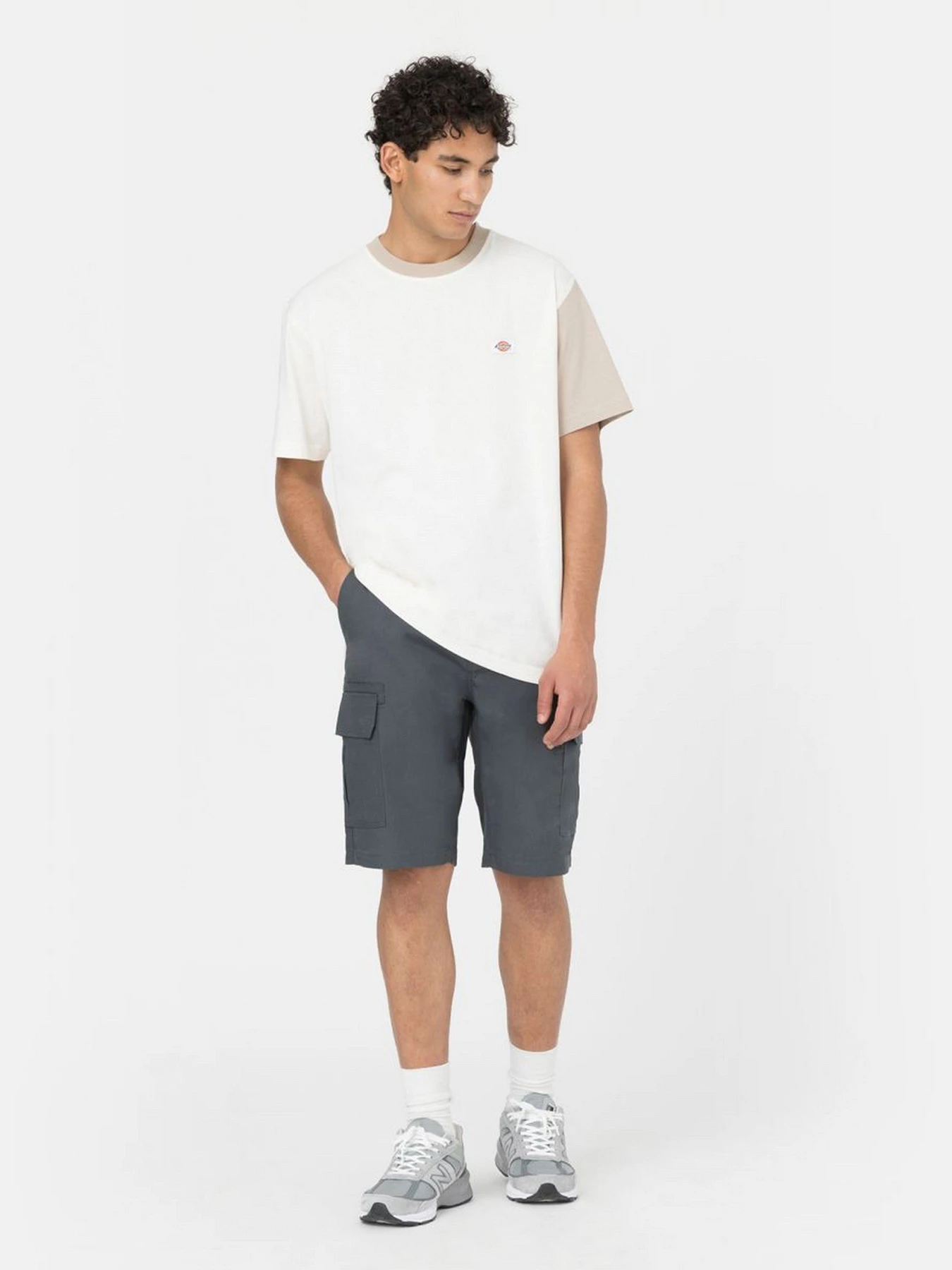 Шорты Dickies Millerville модель DK0A4XEDCH01 Шорты Dickies Millerville модель DK0A4XEDCH01 Фото