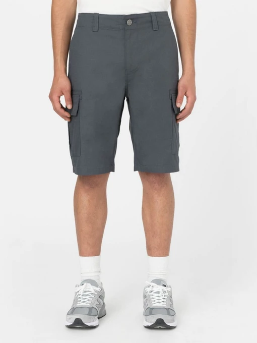 Шорты Dickies Millerville модель DK0A4XEDCH01 Фото