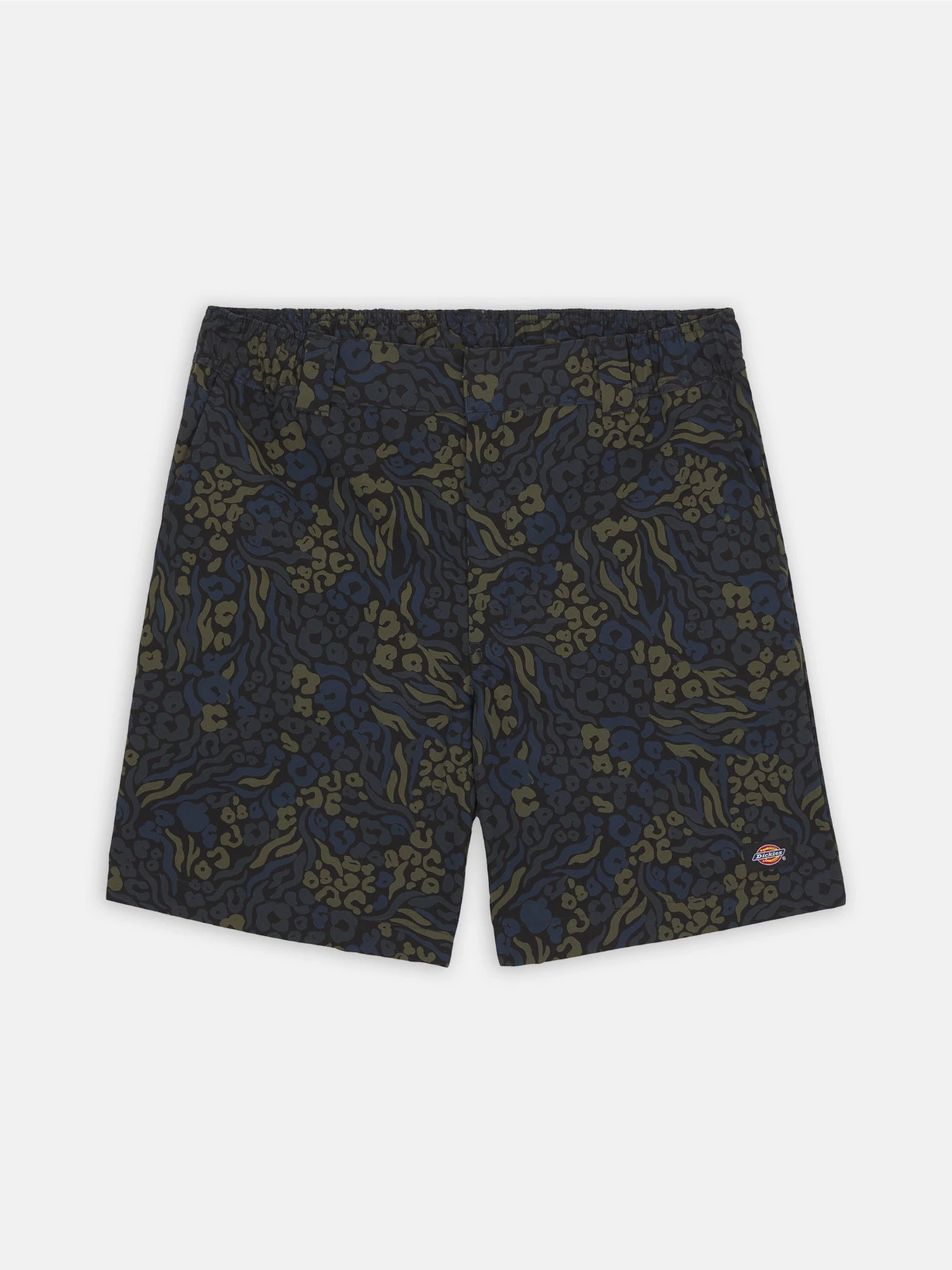 Шорты Dickies Saltville модель DK0A4YSHJ461 Шорты Dickies Saltville модель DK0A4YSHJ461 Фото