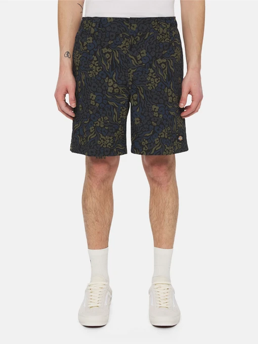 Шорты Dickies Saltville модель DK0A4YSHJ461 Фото