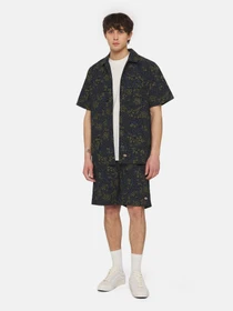 Шорты Dickies Saltville модель DK0A4YSHJ461 Фото