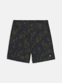 Шорты Dickies Saltville модель DK0A4YSHJ461 Фото