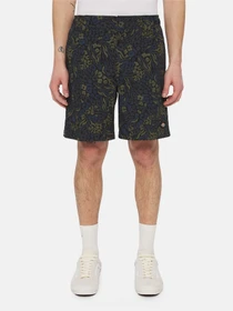 Шорты Dickies Saltville модель DK0A4YSHJ461 Фото