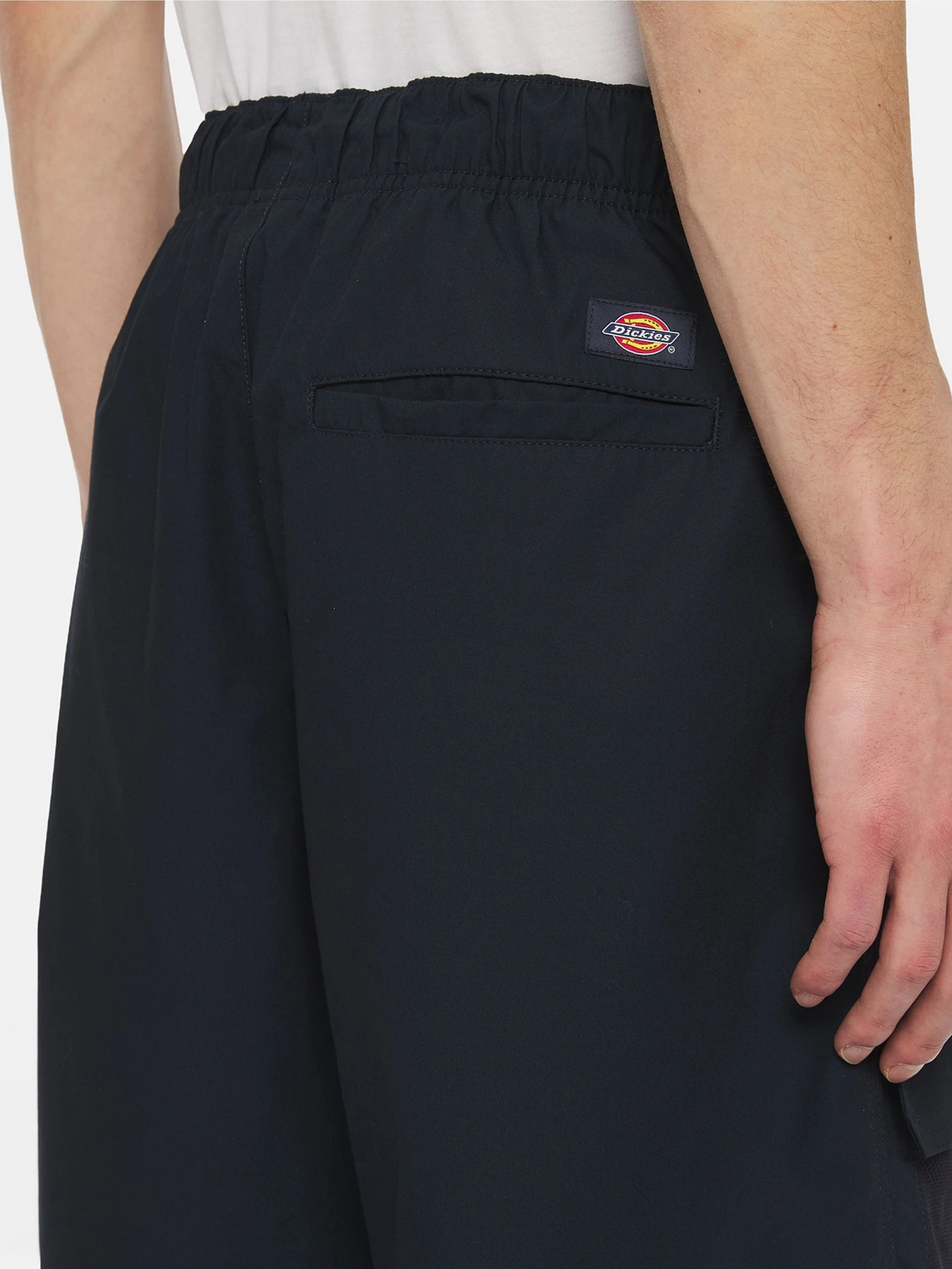 Шорти Dickies Fishersville Cargo модель DK0A4YSIDNX1 Шорти Dickies Fishersville Cargo модель DK0A4YSIDNX1 Фото