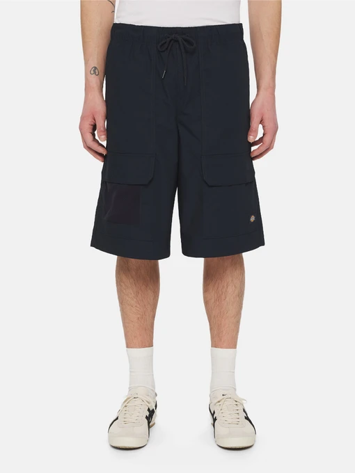 Шорты Dickies Fishersville Cargo модель DK0A4YSIDNX1 Фото