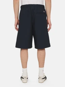 Шорти Dickies Fishersville Cargo модель DK0A4YSIDNX1 Фото