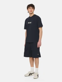 Шорти Dickies Fishersville Cargo модель DK0A4YSIDNX1 Фото