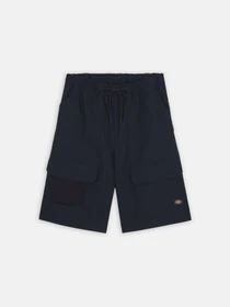 Шорти Dickies Fishersville Cargo модель DK0A4YSIDNX1 Фото
