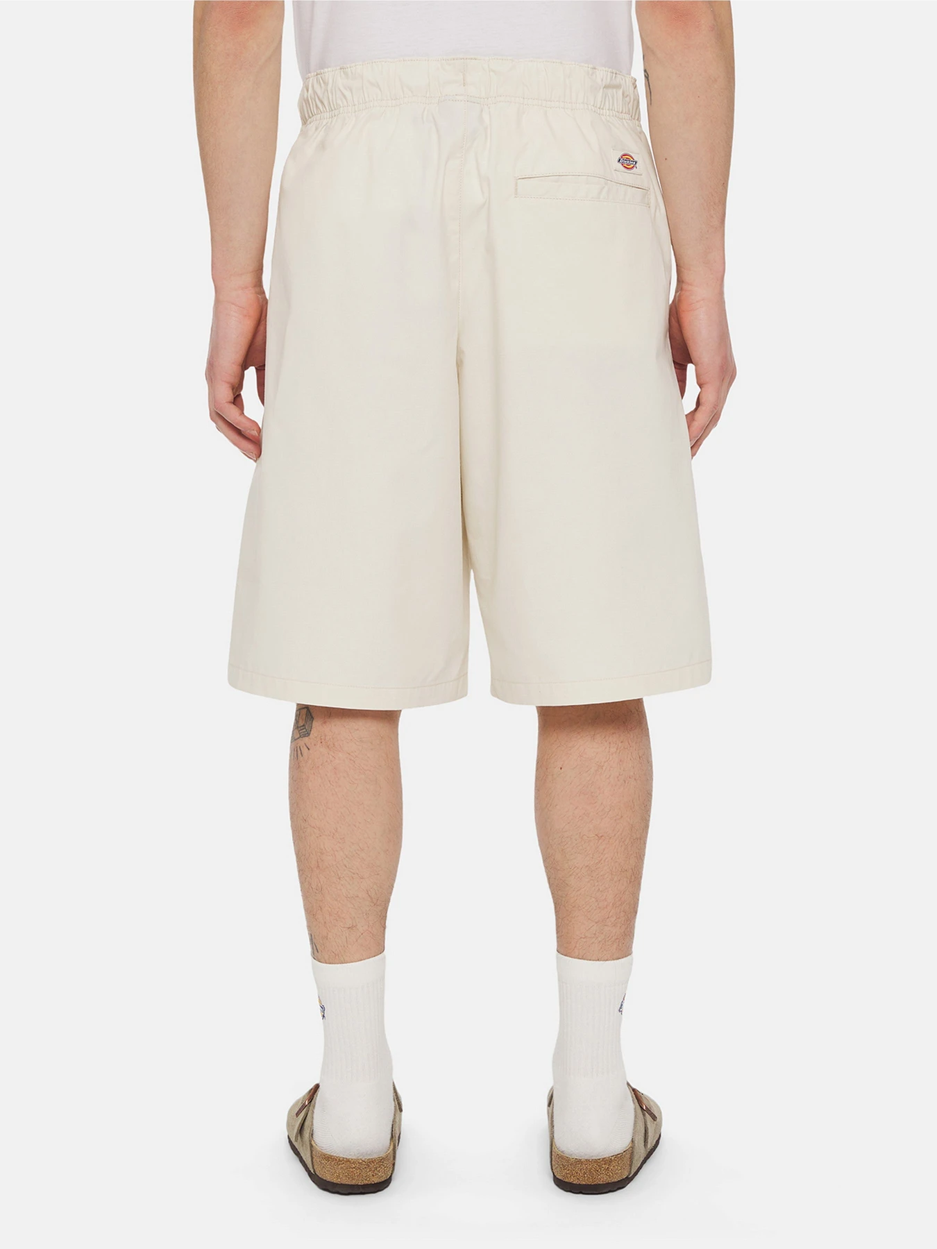Шорты Dickies Fishersville Cargo модель DK0A4YSIF901 Фото