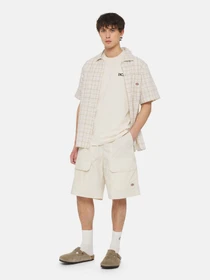 Шорты Dickies Fishersville Cargo модель DK0A4YSIF901 Фото