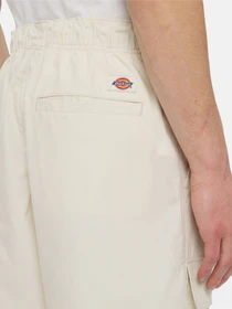 Шорты Dickies Fishersville Cargo модель DK0A4YSIF901 Фото