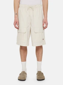 Шорты Dickies Fishersville Cargo модель DK0A4YSIF901 Фото