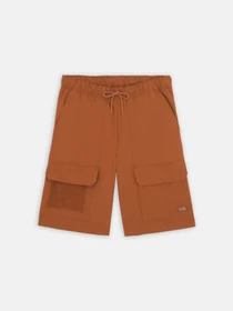 Шорти Dickies Fishersville Cargo модель DK0A4YSIH161 Фото