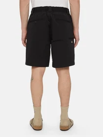 Шорти Dickies Fincastle модель DK0A4YSLBLK1 Фото