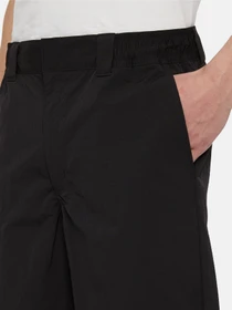 Шорти Dickies Fincastle модель DK0A4YSLBLK1 Фото