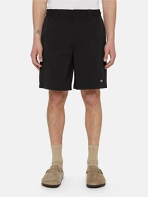 Шорти Dickies Fincastle модель DK0A4YSLBLK1 Фото