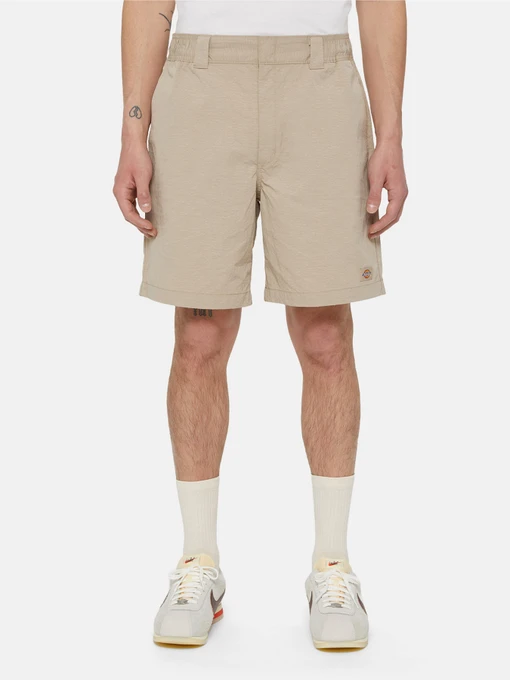 Шорти Dickies Fincastle модель DK0A4YSLSS01 Фото